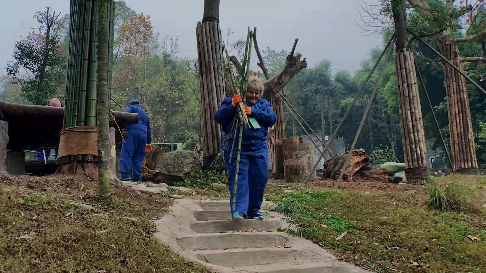 Meet the Giant Pandas near Chengdu — travel photographs