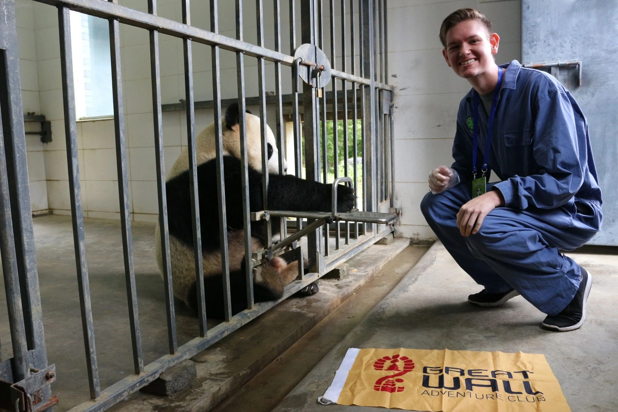Meet the Giant Pandas near Chengdu — travel photographs