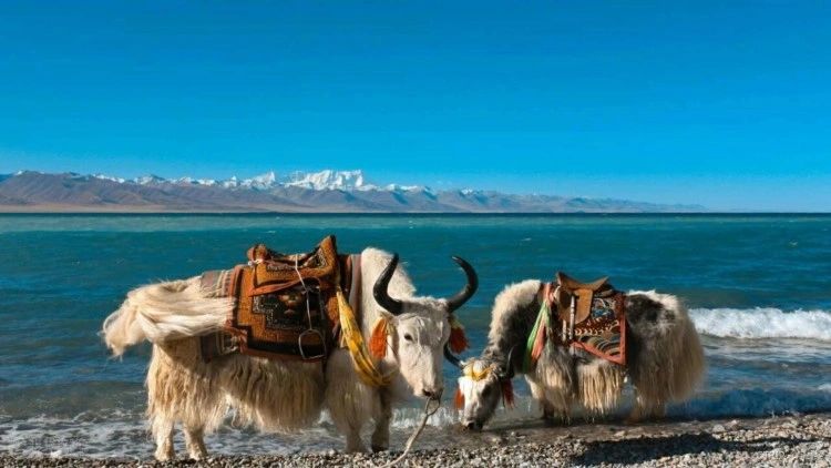 Discover Tibet’s Heritage and Himalayan Landscapes — travel photographs