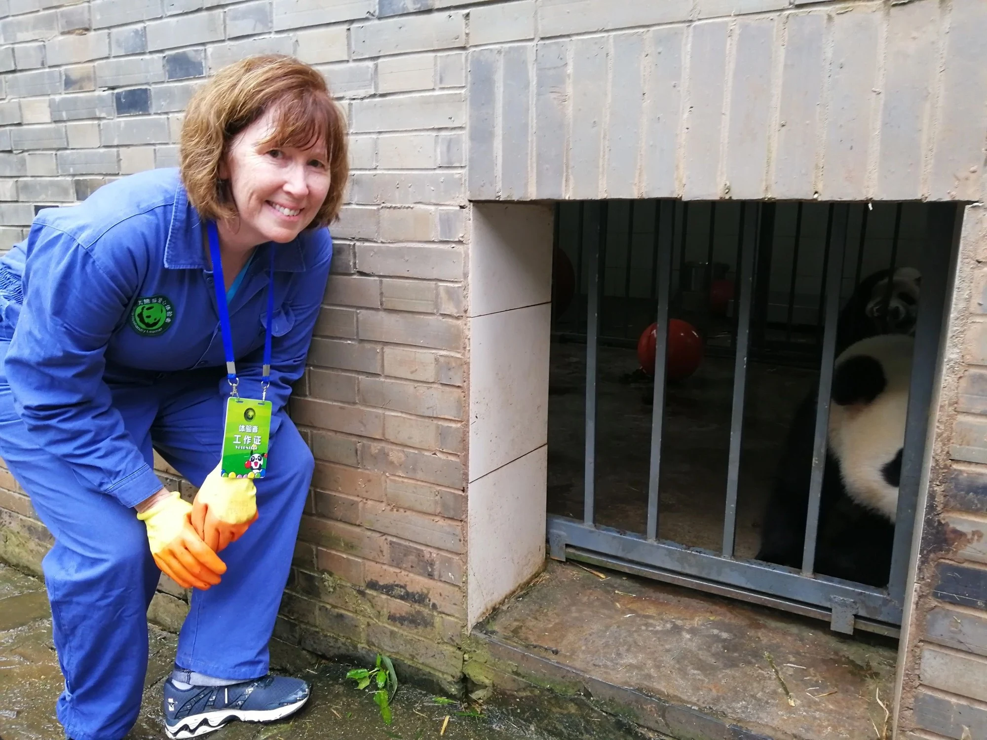 Meet the Giant Pandas near Chengdu — travel photographs