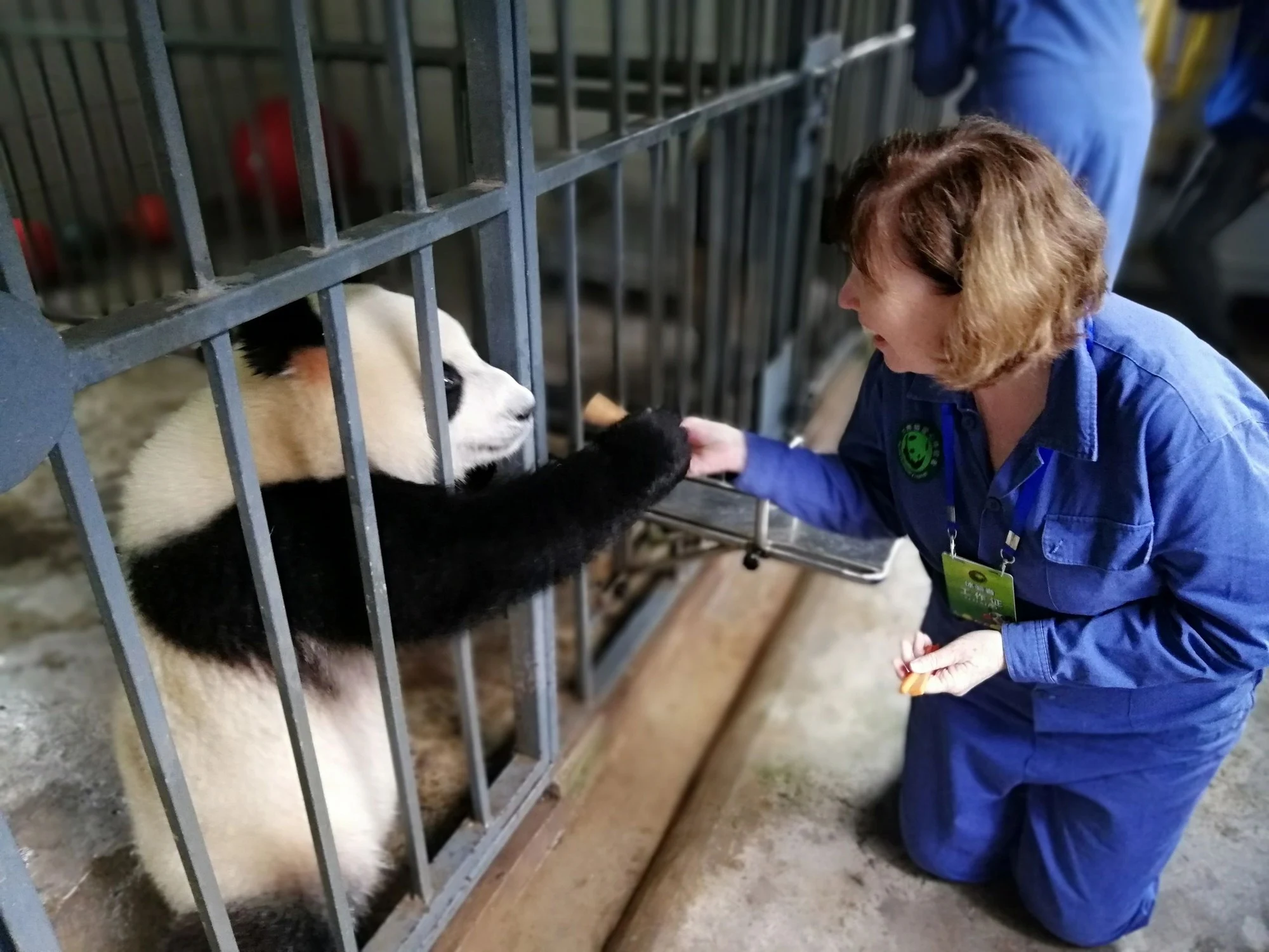 Travel to Xi’an by Overnight Sleeper Train — travel photographs