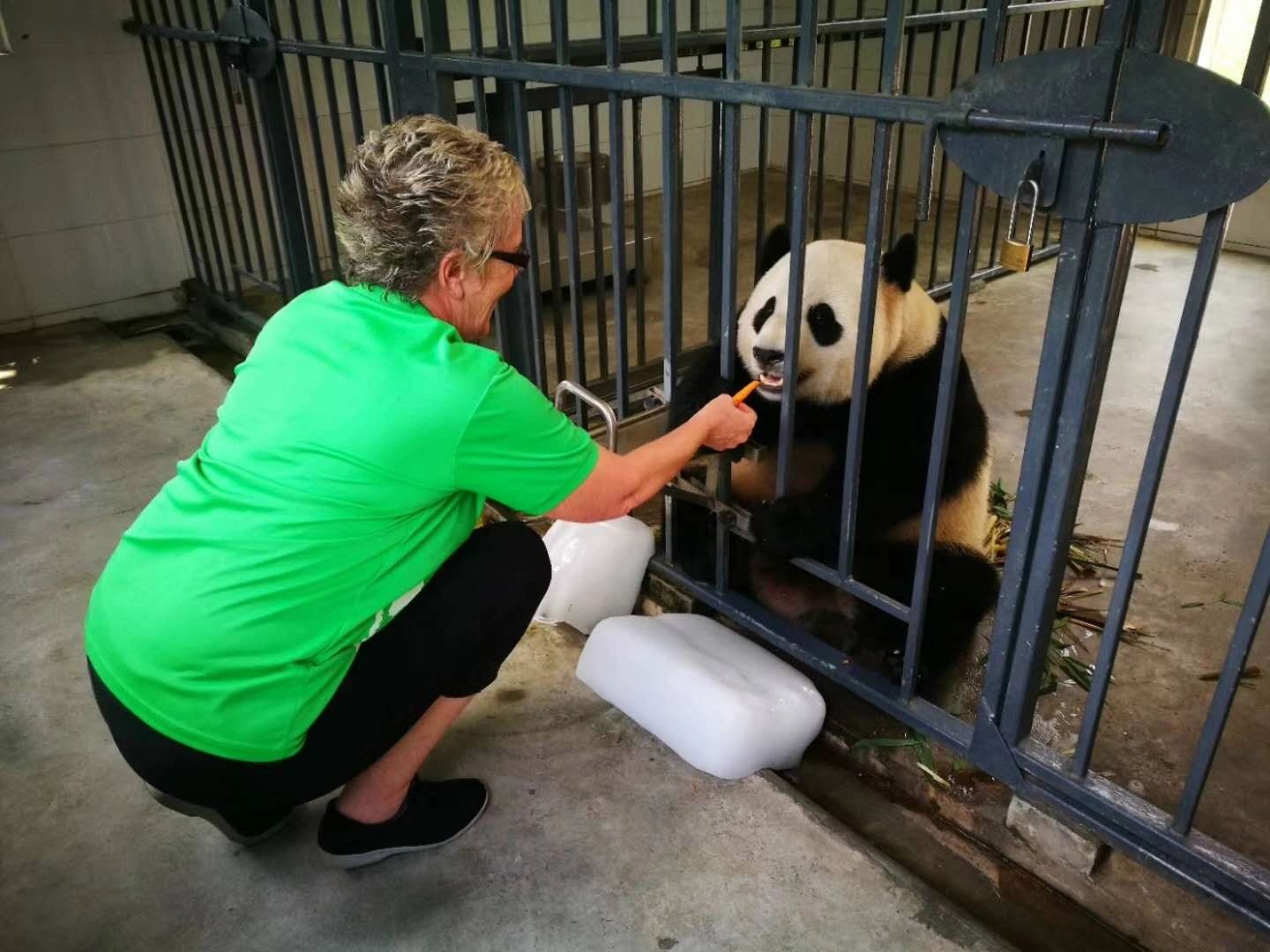 Meet the Giant Pandas near Chengdu — travel photographs