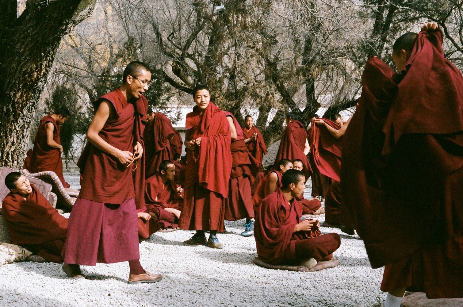 Discover Tibet’s Heritage and Himalayan Landscapes — travel photographs