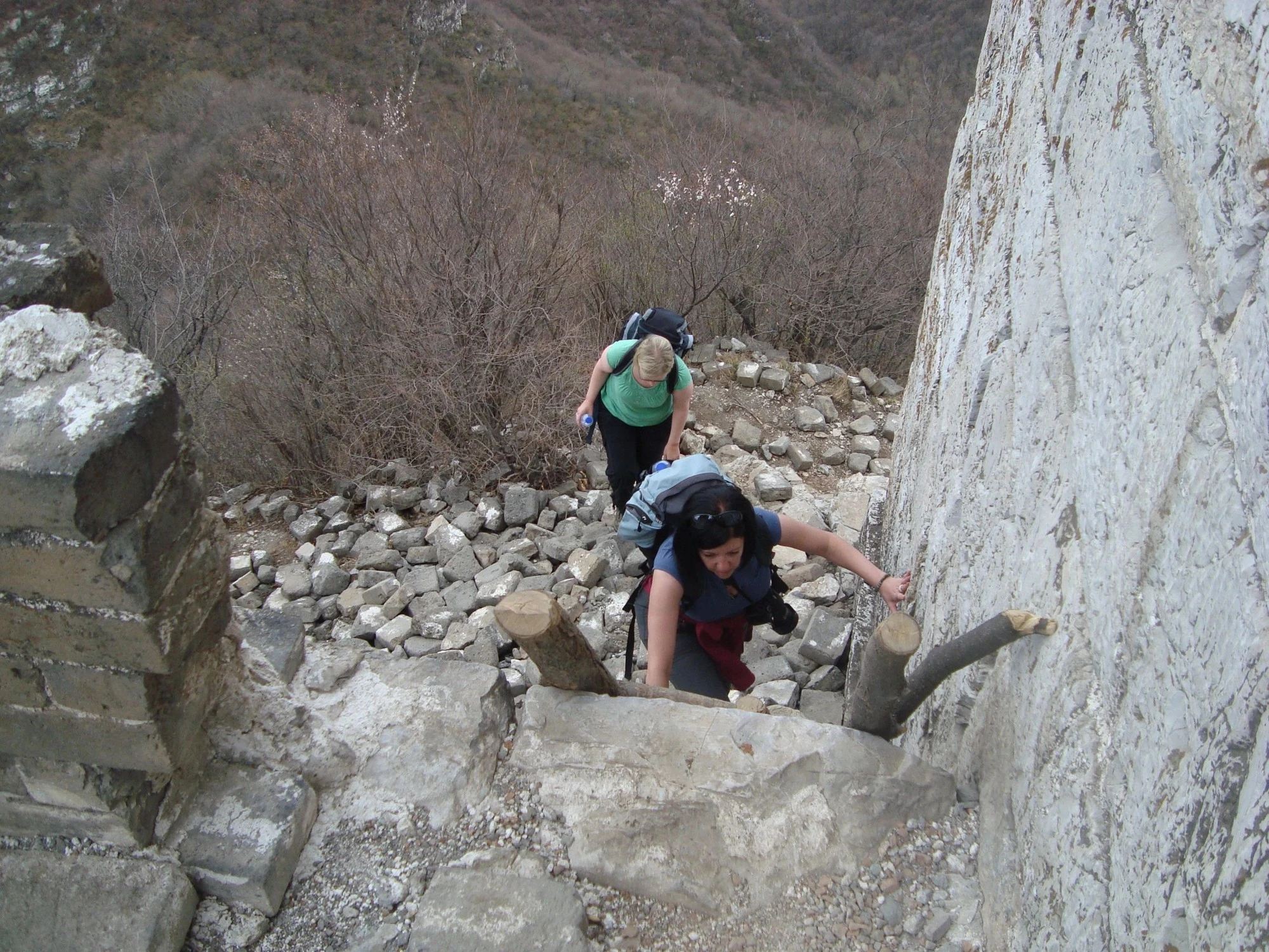 The Magnificent Great Wild Wall Odyssey