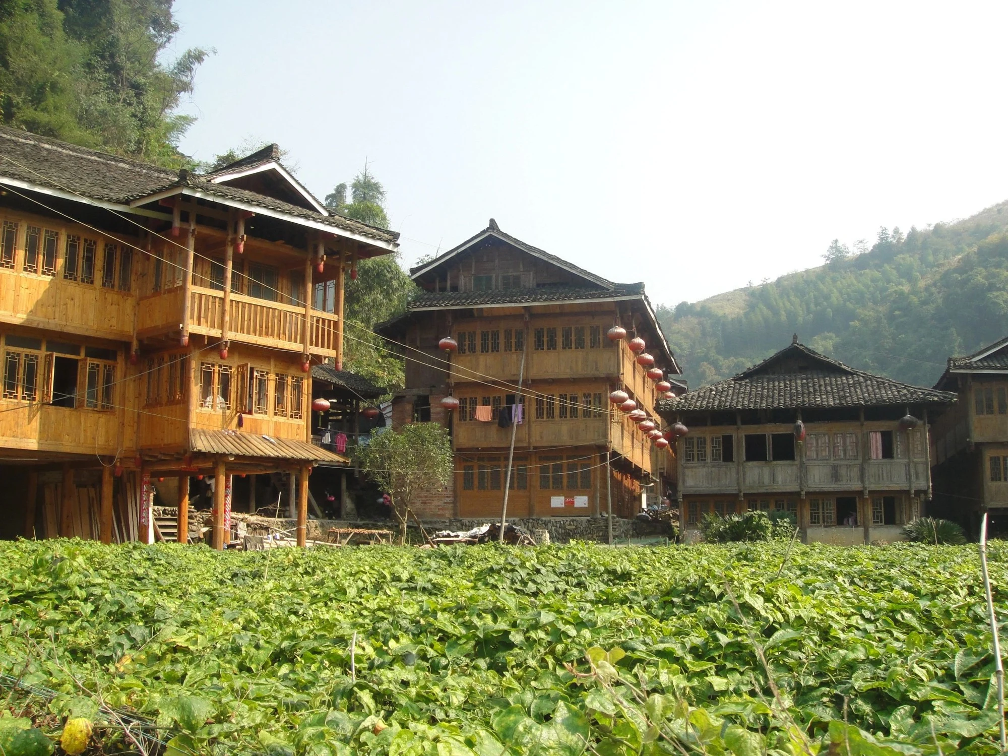 River Landscapes and Rice Terrace Walks in Guangxi — travel photographs