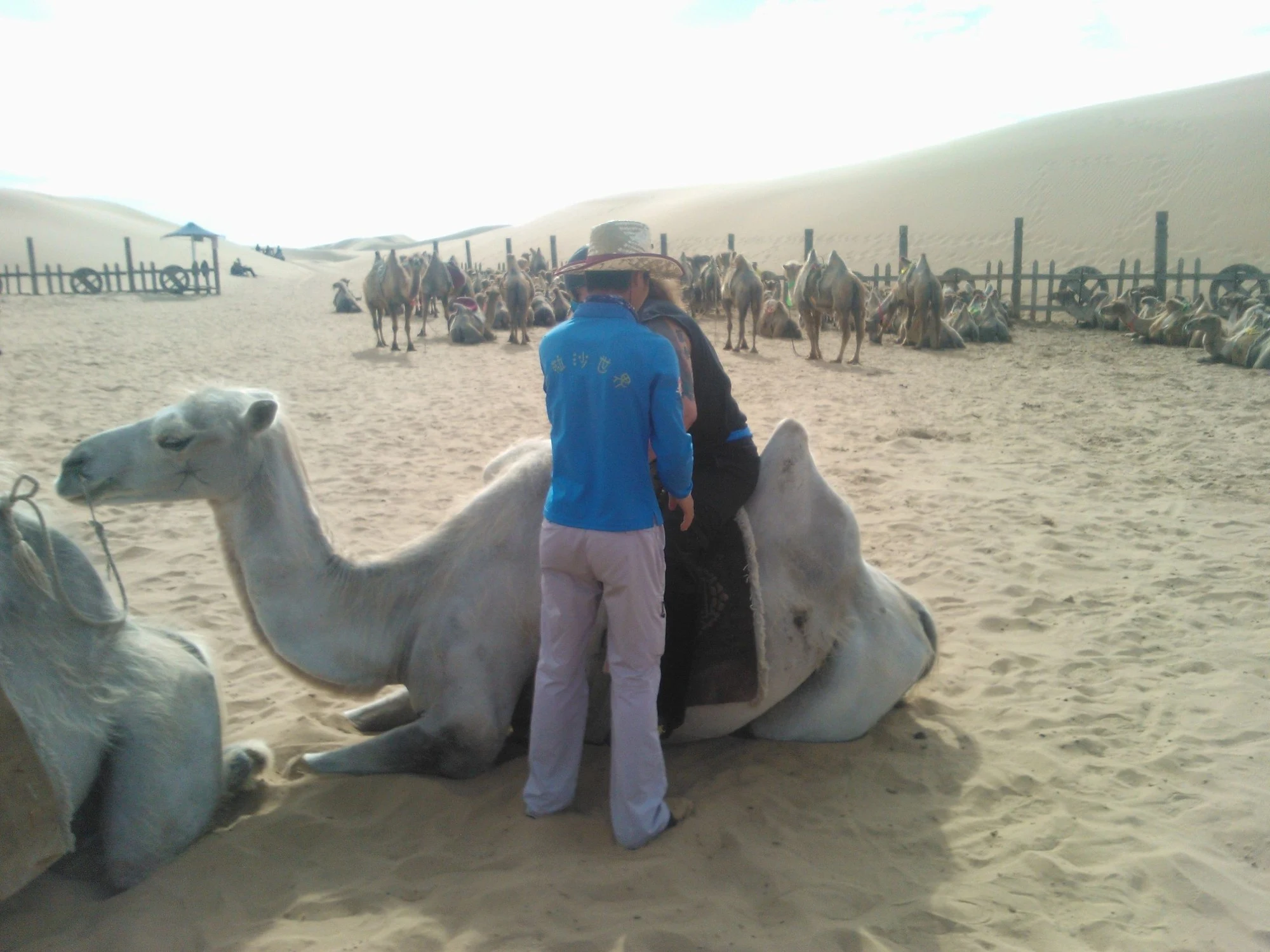 Open Grasslands, Desert Landscapes, and Mongolian Culture — travel photographs