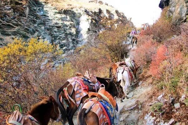 Discover Tibet’s Heritage and Himalayan Landscapes — travel photographs